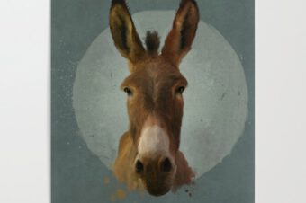 A Donkey  Poster