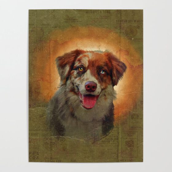 AUSTRALIAN SHEPHERD  Poster