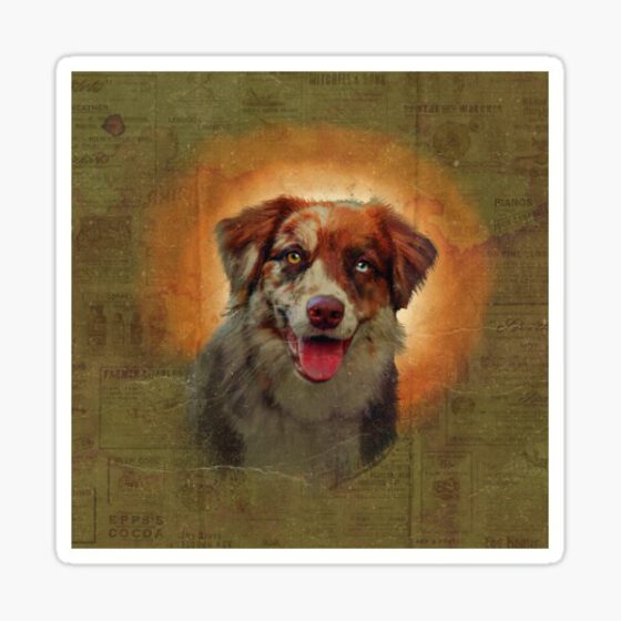 Australian Shepherd  Sticker