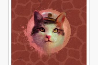 Captain Kitty Cat Sticker