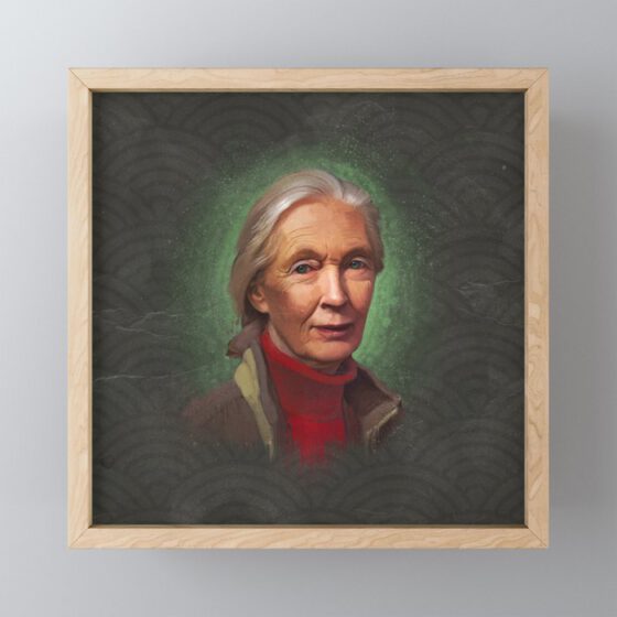 JANE GOODALL  Framed Mini Art Print