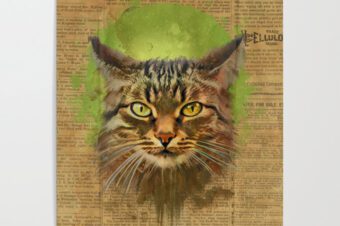 Kitty kat fever Poster