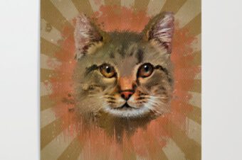 Kitty kitty  Poster