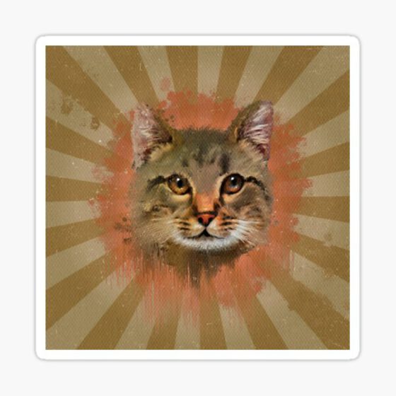 Kitty Kitty  Sticker