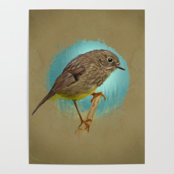 NORTH ISLAND ROBIN  Poster