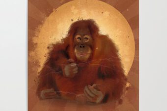 Orangutans!  Poster