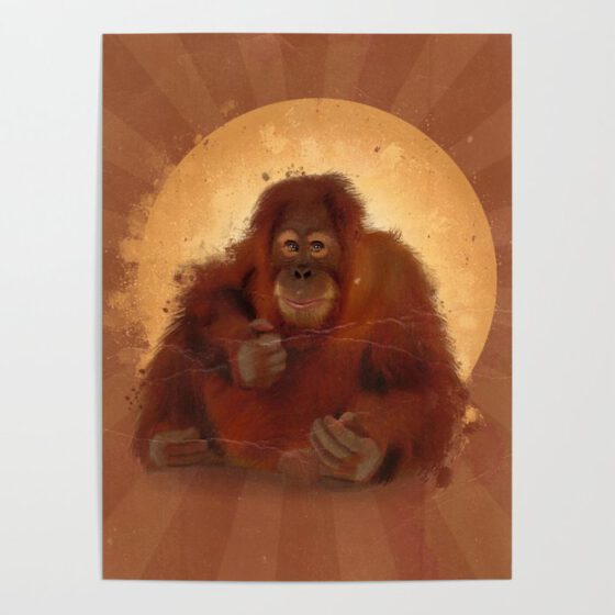 Orangutans!  Poster