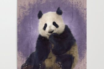 Pandas! Poster