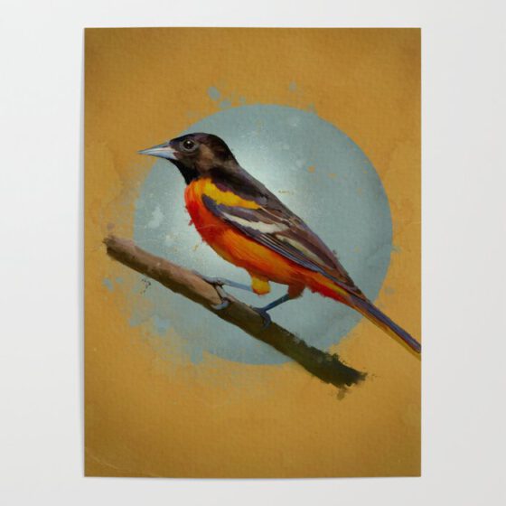 THE BALTIMORE ORIOLE  Poster