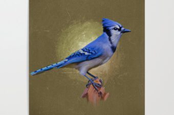 THE BLUEJAY  Poster