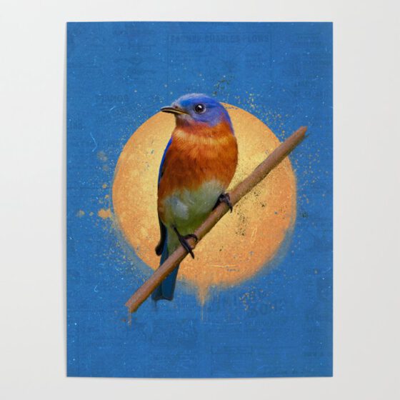 The Eastern Bluebird  Poster