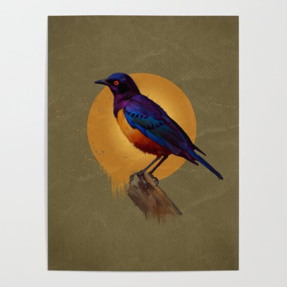 The Hildebrandt’s Starling Poster