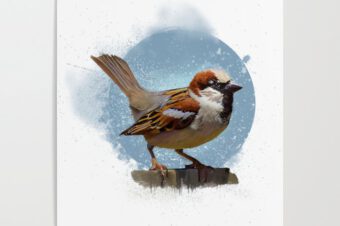 THE HOUSE SPARROW  Poster