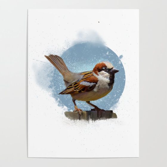 THE HOUSE SPARROW  Poster