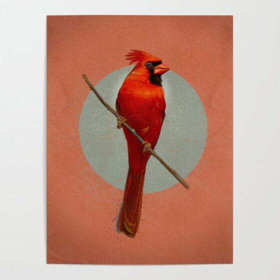 THE NORTHERN CARDINAL  Poster