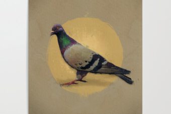 THE PIGEON Poster