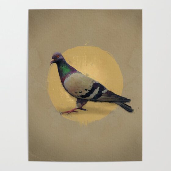 THE PIGEON Poster