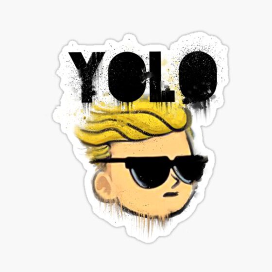 YOLO SHIRTS  Sticker
